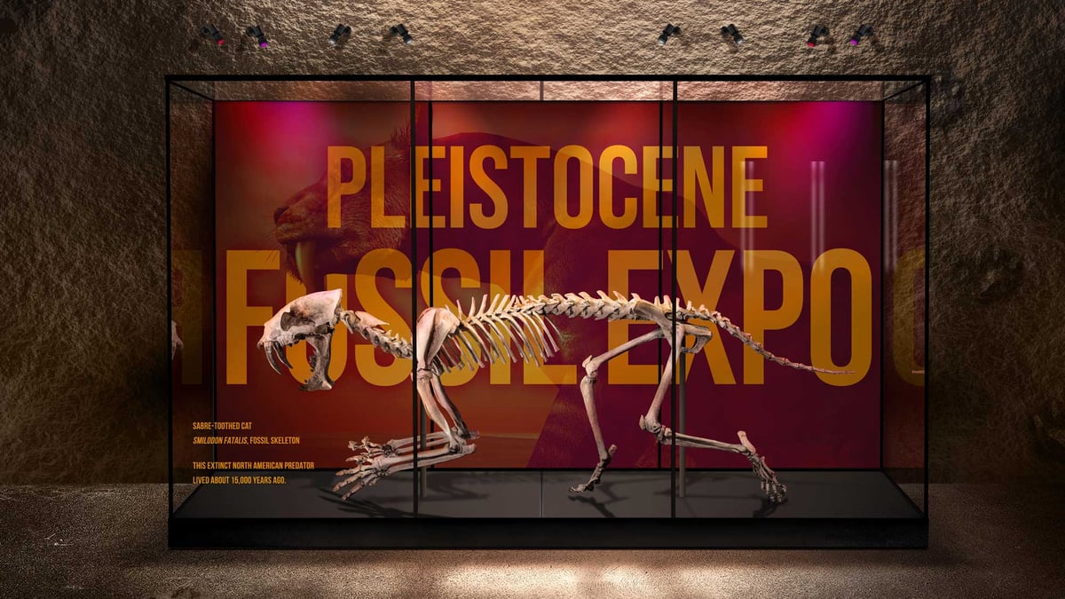 Fossil inside a long exhibit case with Pleistocene Fossil Expo on back panels